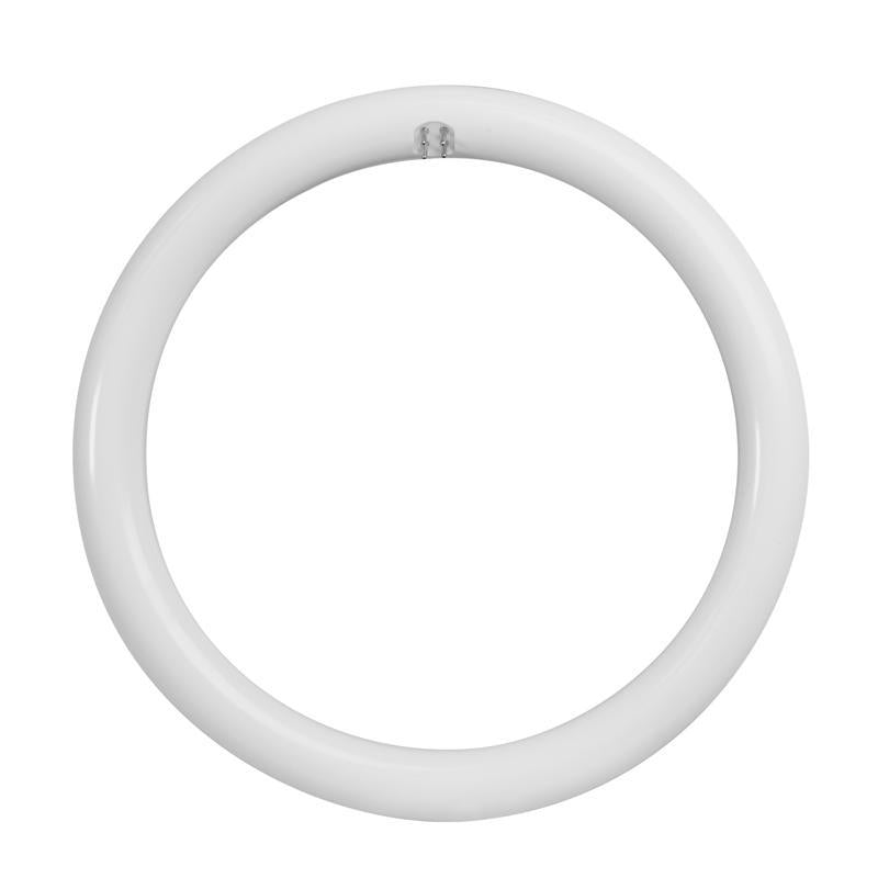 Feit Plug & Play T9 Cool White 12 in. G10Q Circular LED Bulb 32 Watt Equivalence
