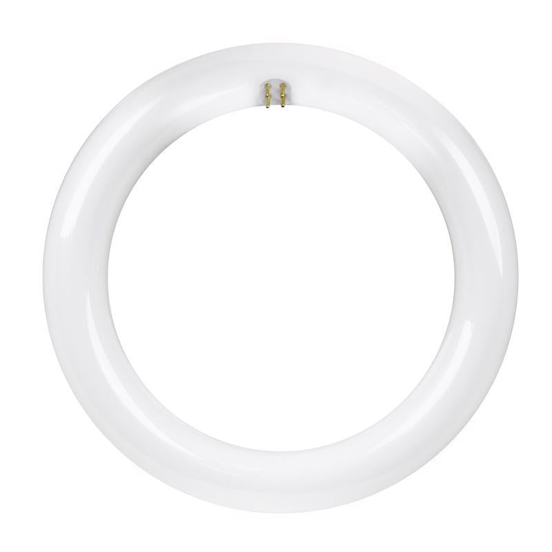 Feit Plug & Play T9 Cool White 8 in. G10Q Circular LED Bulb 22 Watt Equivalence