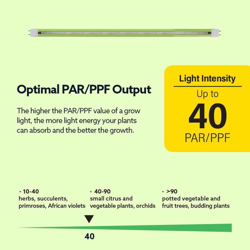 Feit Plug & Play T8 and T12 Blue 48 in. G13 Linear LED Bulb 20 Watt Equivalence