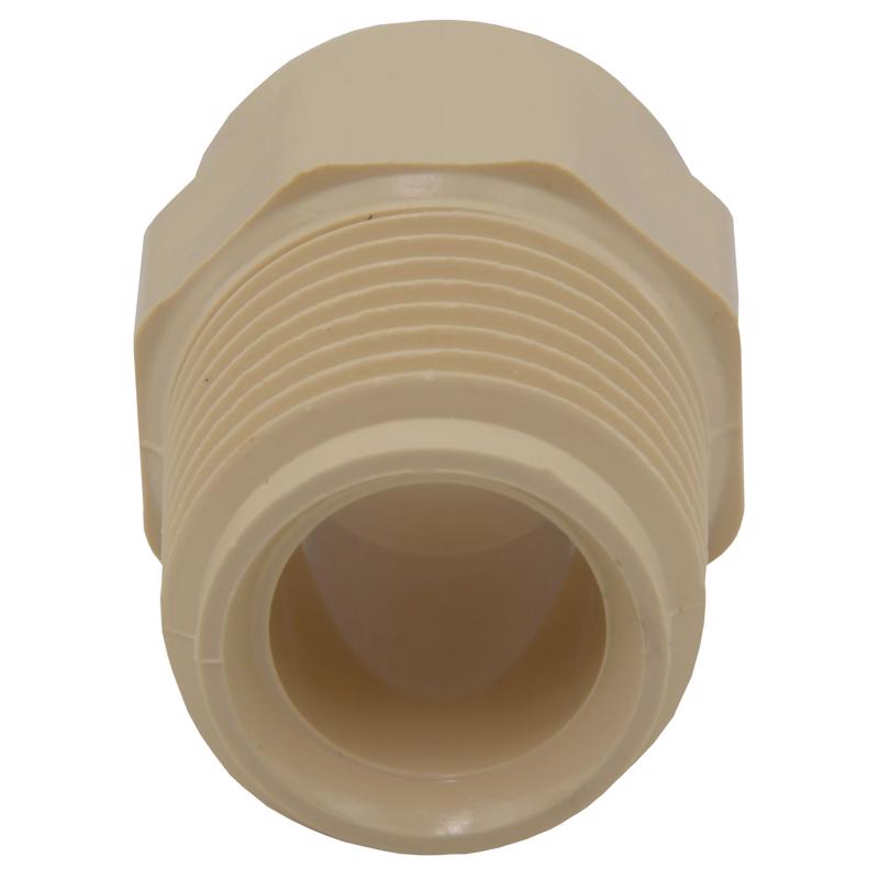 Charlotte Pipe FlowGuard Schedule 40 1/2 in. Socket X 1/2 in. D MNPT CPVC Adapter