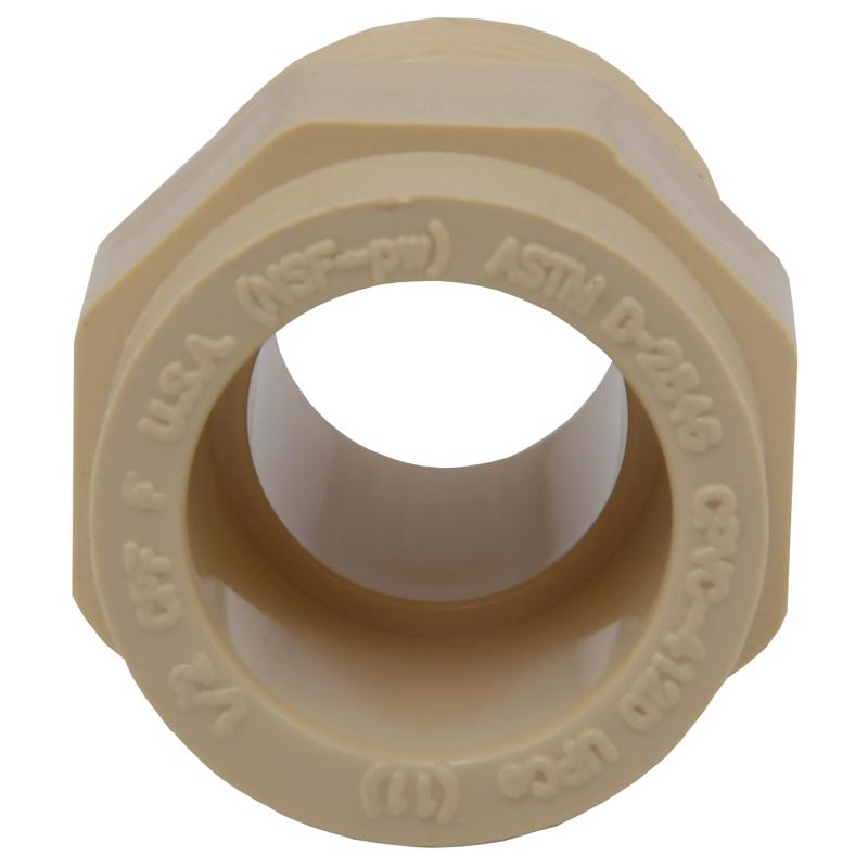 Charlotte Pipe FlowGuard Schedule 40 1/2 in. Socket X 1/2 in. D MNPT CPVC Adapter