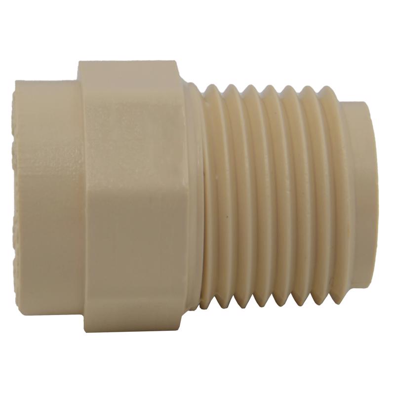 Charlotte Pipe FlowGuard Schedule 40 1/2 in. Socket X 1/2 in. D MNPT CPVC Adapter
