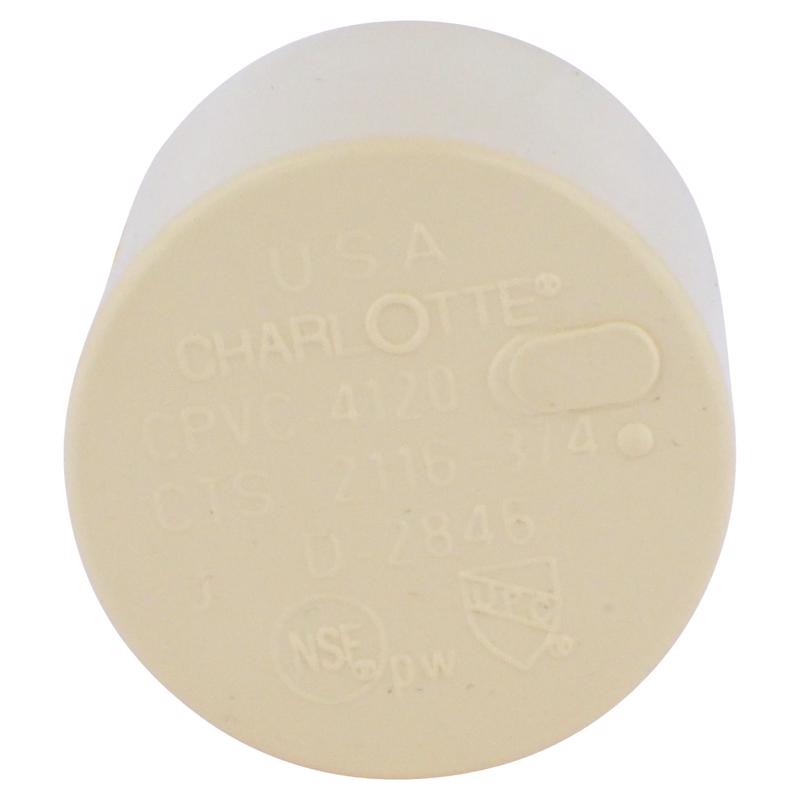 Charlotte Pipe FlowGuard 3/4 in. Hub CPVC Cap