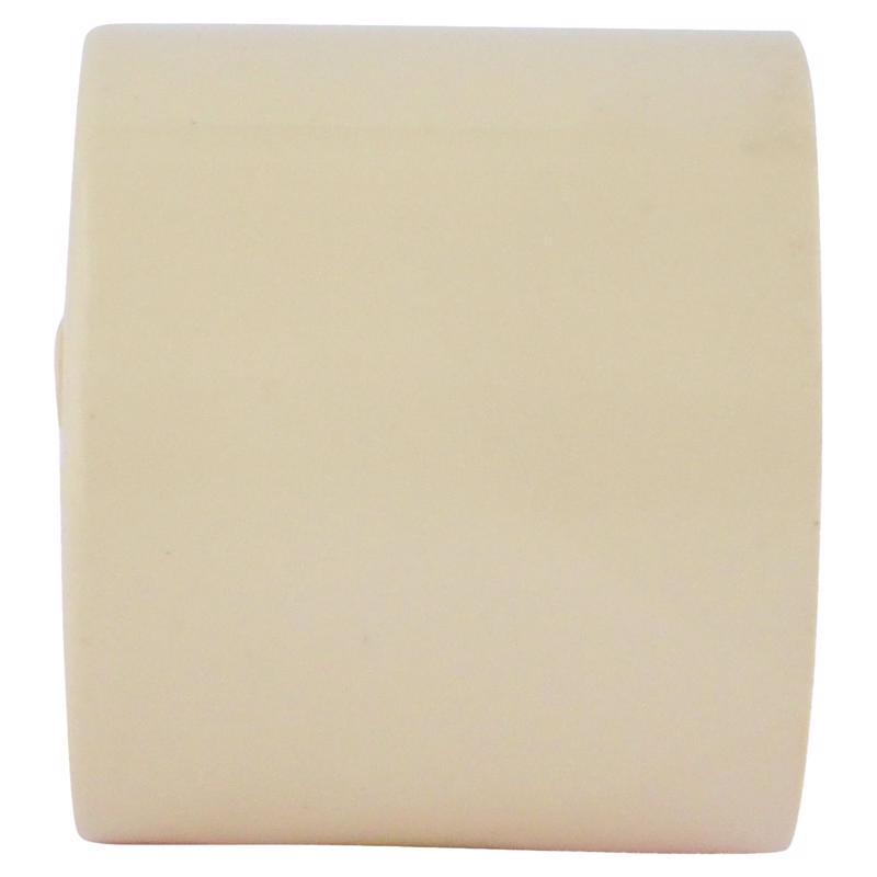 Charlotte Pipe FlowGuard 3/4 in. Hub CPVC Cap