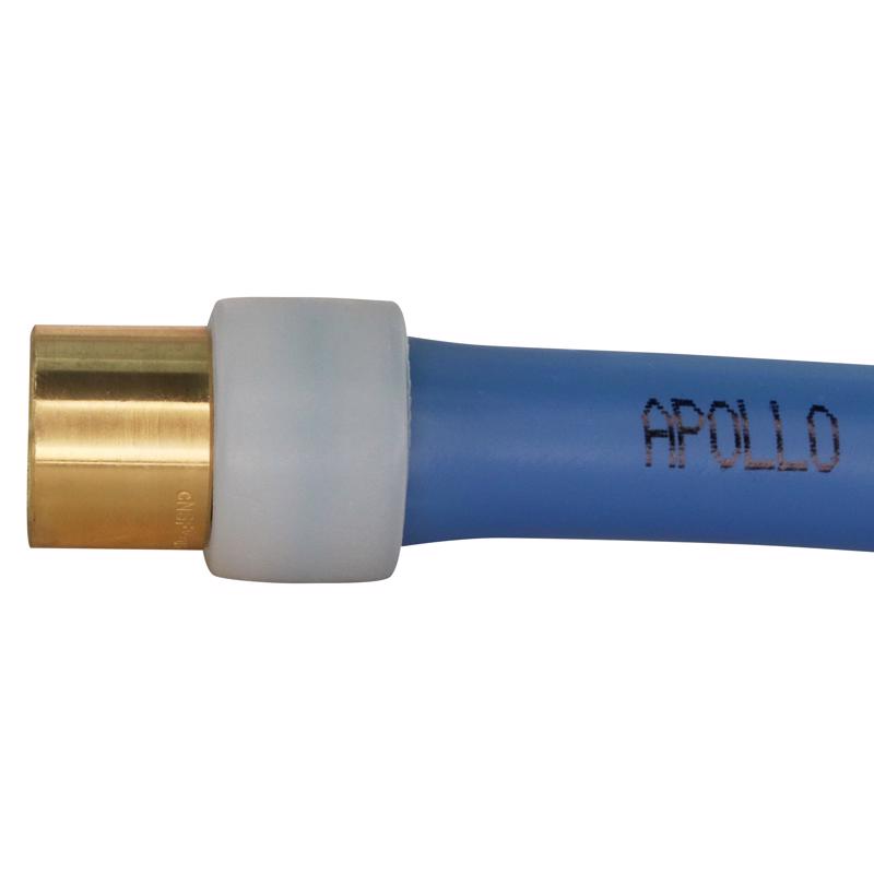 Apollo PEX-A 3/4 in. Expansion PEX in to X 3/4 in. D Female Sweat Brass Adapter