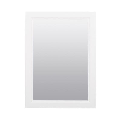 Zenna Home 22.38 in. H X 16.38 in. W X 5 in. D Rectangle Medicine Cabinet/Mirror