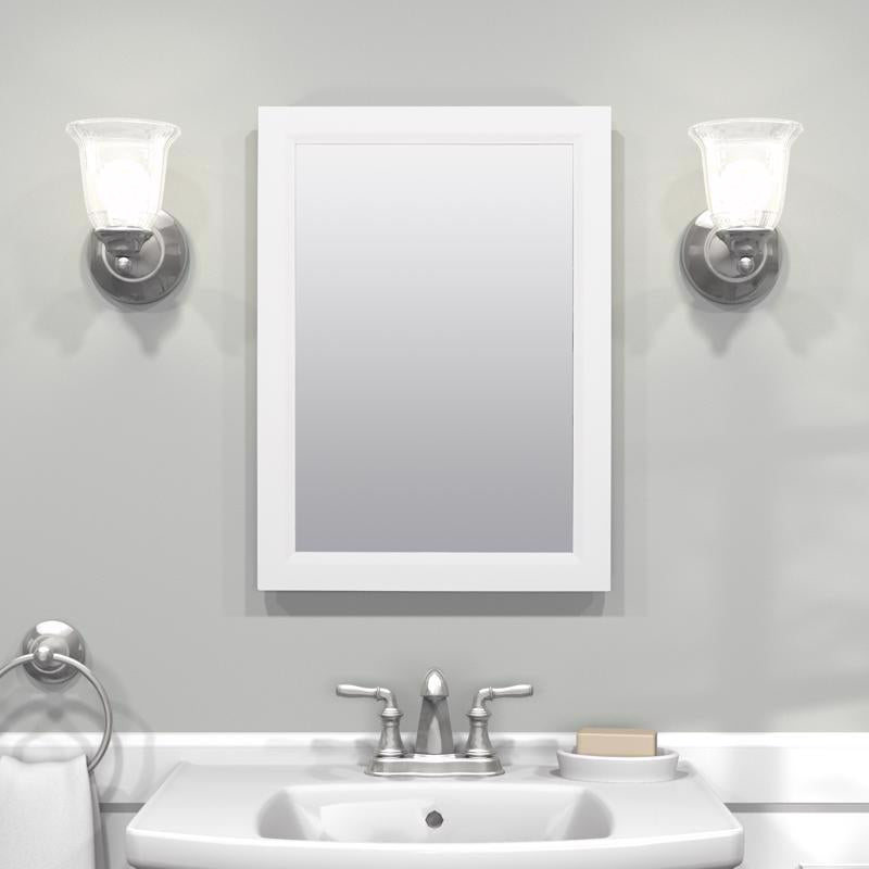 Zenna Home 22.38 in. H X 16.38 in. W X 5 in. D Rectangle Medicine Cabinet/Mirror