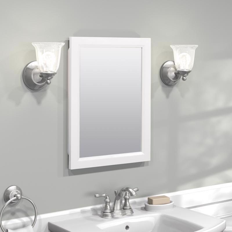 Zenna Home 22.38 in. H X 16.38 in. W X 5 in. D Rectangle Medicine Cabinet/Mirror