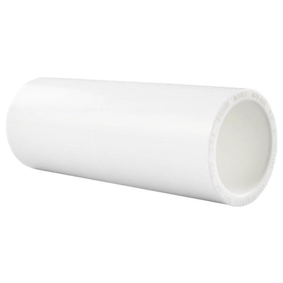 Charlotte Pipe Schedule 40 1/2 in. Socket X 1/2 in. D Socket PVC Coupling
