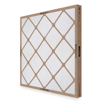 Pamlico Air 16 in. W X 16 in. H X 2 in. Fiberglass 4 MERV Air Filter