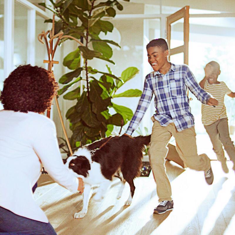 Filtrete 12 in. W X 24 in. H X 1 in. 300 MPR Pleated Air Filter