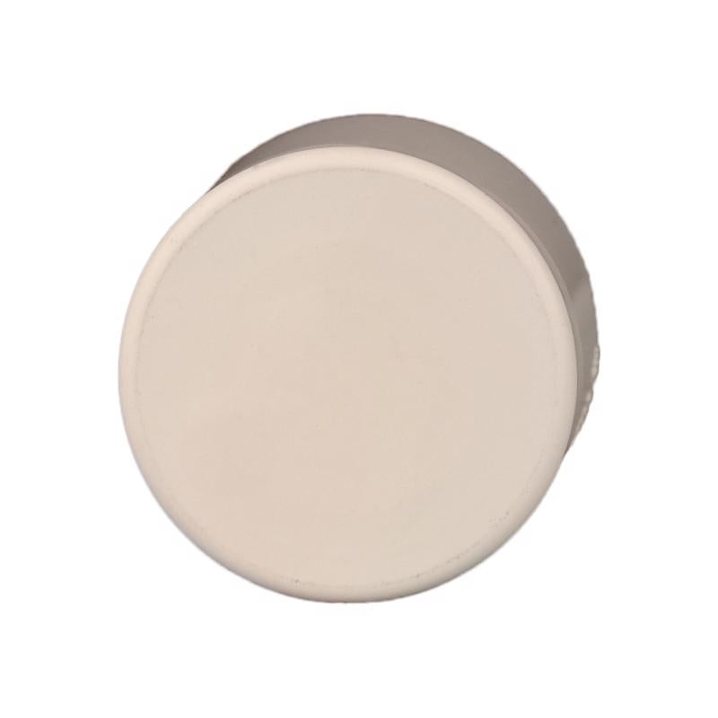 Charlotte Pipe FlowGuard 1 in. Slip X 1 in. D Slip CPVC Drain Cap