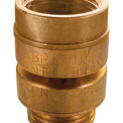 Arrowhead 3/4 in. FHT X 3/4 in. MHT Brass Vacuum Breaker