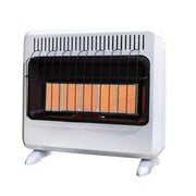 Mr. Heater 1000 sq ft 30000 BTU Natural Gas/Propane Wall Heater