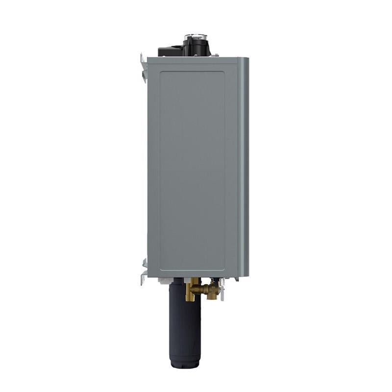 Reliance Water Heaters 0 gal 199000 BTU Natural Gas Tankless Water Heater
