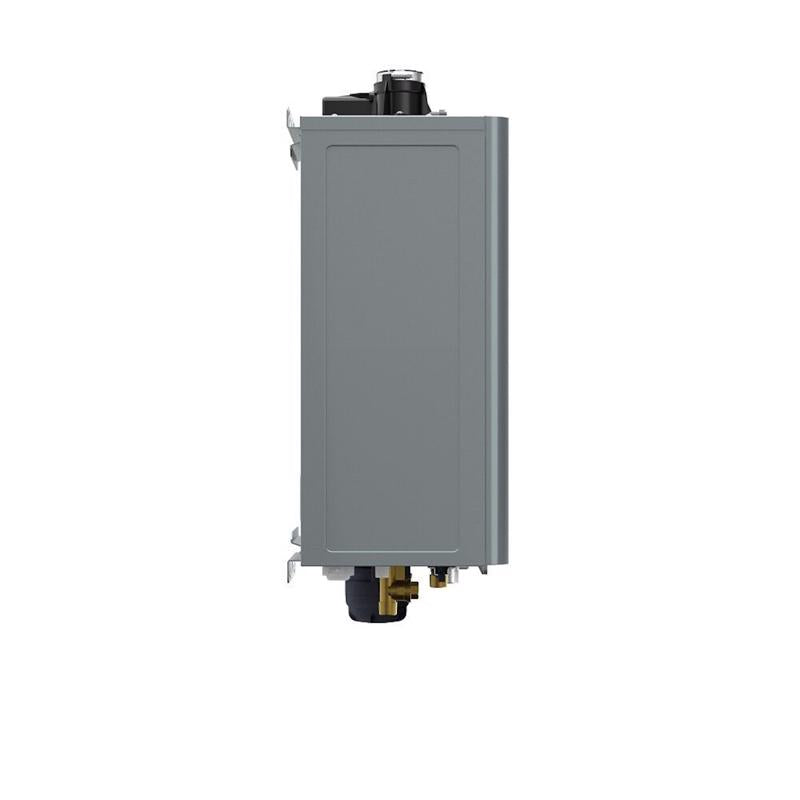 Reliance Water Heaters 0 gal 199000 BTU Natural Gas Tankless Water Heater