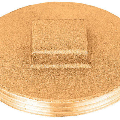 Sioux Chief 3-1/2 in. MPT each Brass Replacement Plug