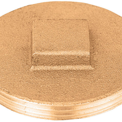 Sioux Chief 4 in. MPT each Brass Replacement Plug
