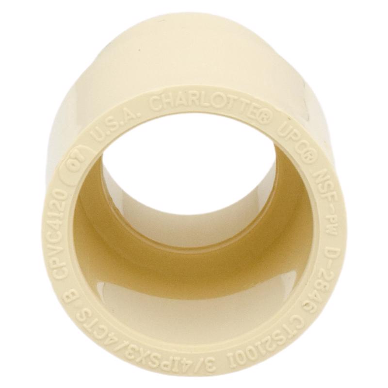 Charlotte Pipe 3/4 in. Slip X 3/4 in. D Slip CPVC Adapter