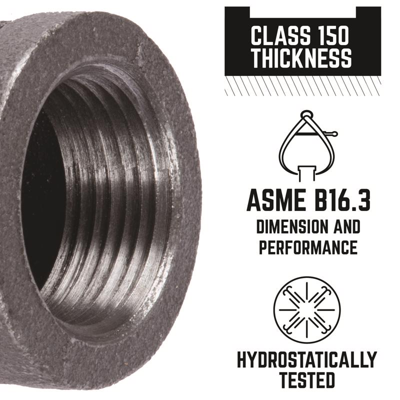 STZ Industries 3/8 in. FIP each X 3/8 in. D FIP Black Malleable Iron Coupling