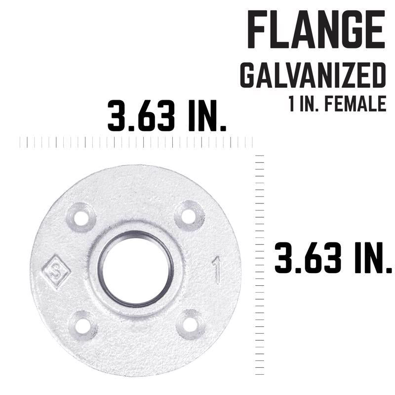 STZ Industries 1 in. FIP each Galvanized Malleable Iron Floor Flange