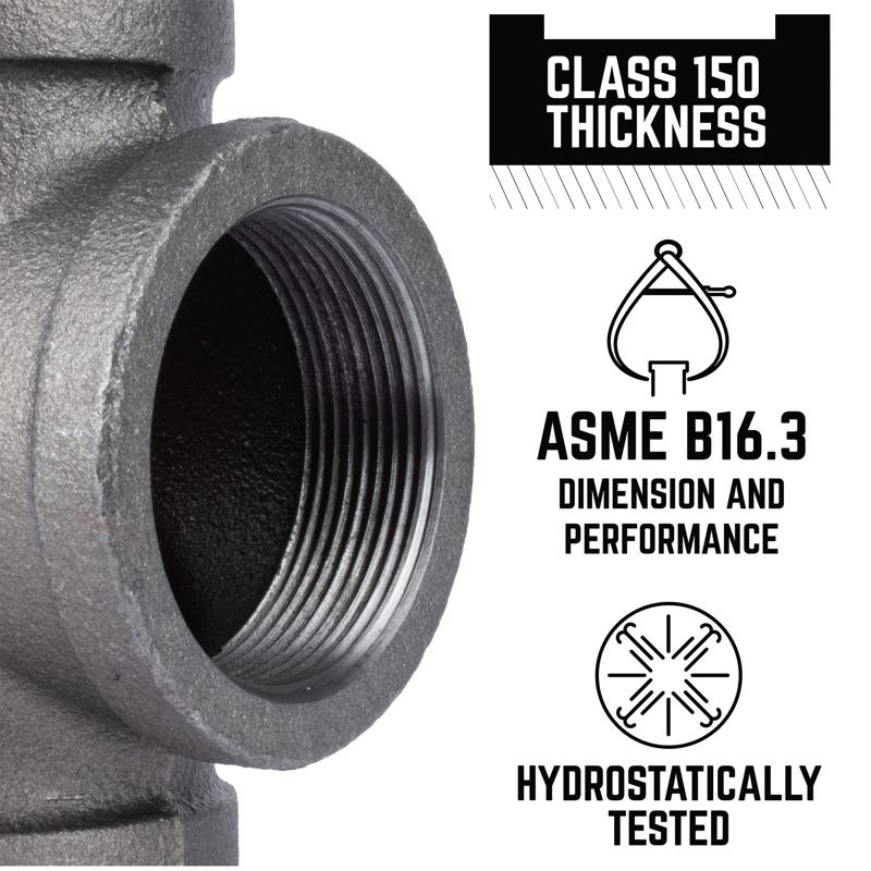 STZ Industries 2 in. FIP each Black Malleable Iron Cap