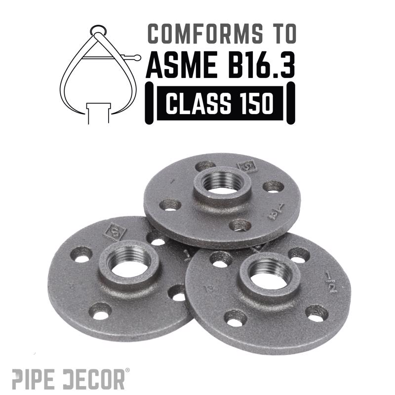 STZ Industries 1/2 in. FIP each Black Malleable Iron Floor Flange