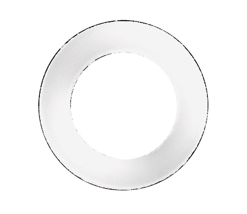 Danco 5/8 in. D Nylon Washer