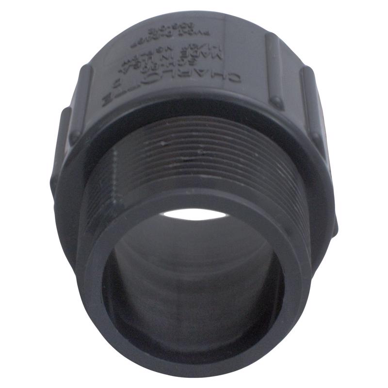 Charlotte Pipe 3/4 in. Slip X 3/4 in. D MPT PVC Adapter