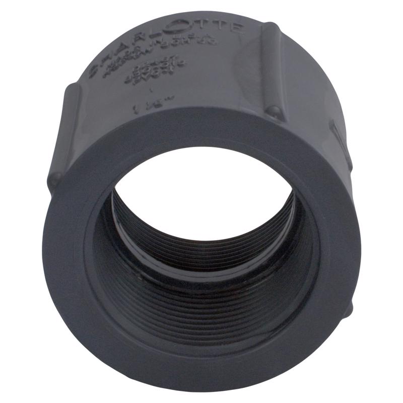 Charlotte Pipe Schedule 80 1 in. FPT X 1 in. D FPT PVC Coupling