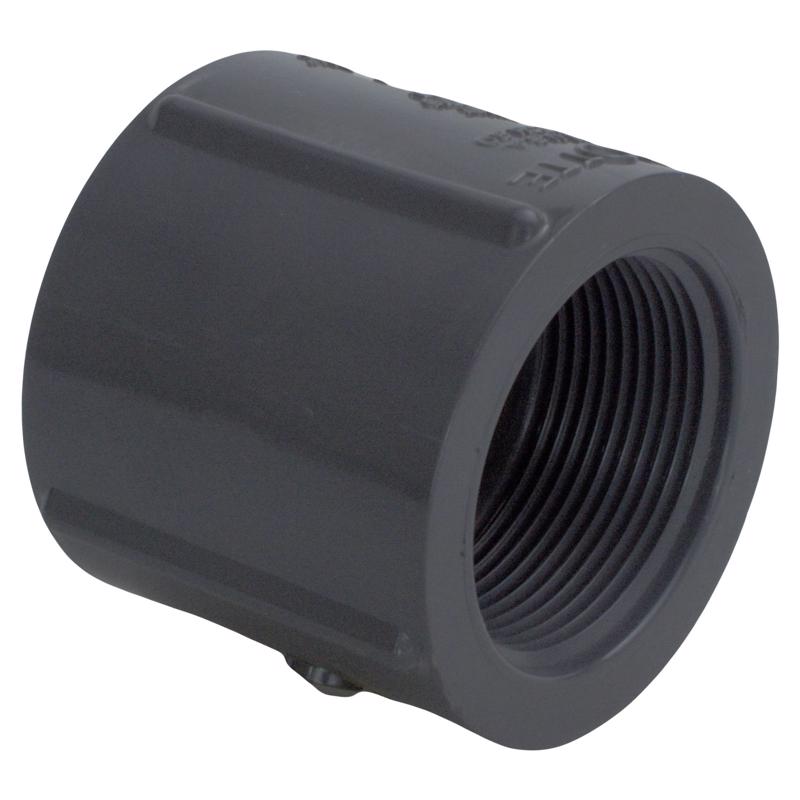 Charlotte Pipe Schedule 80 1-1/2 in. FPT X 1-1/2 in. D FPT PVC Coupling