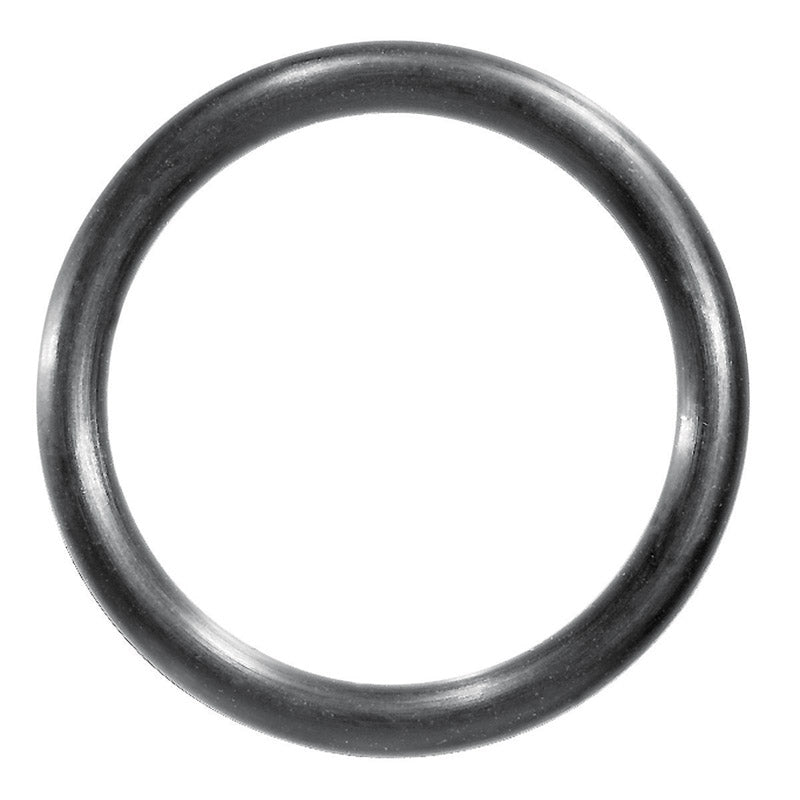 Danco 2 in. D X 1.62 in. D Rubber O-Ring
