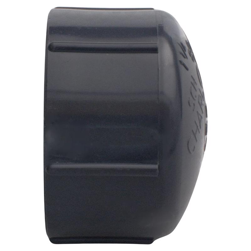Charlotte Pipe Schedule 80 3/4 in. MPT X 3/4 in. D FPT PVC Threaded Cap
