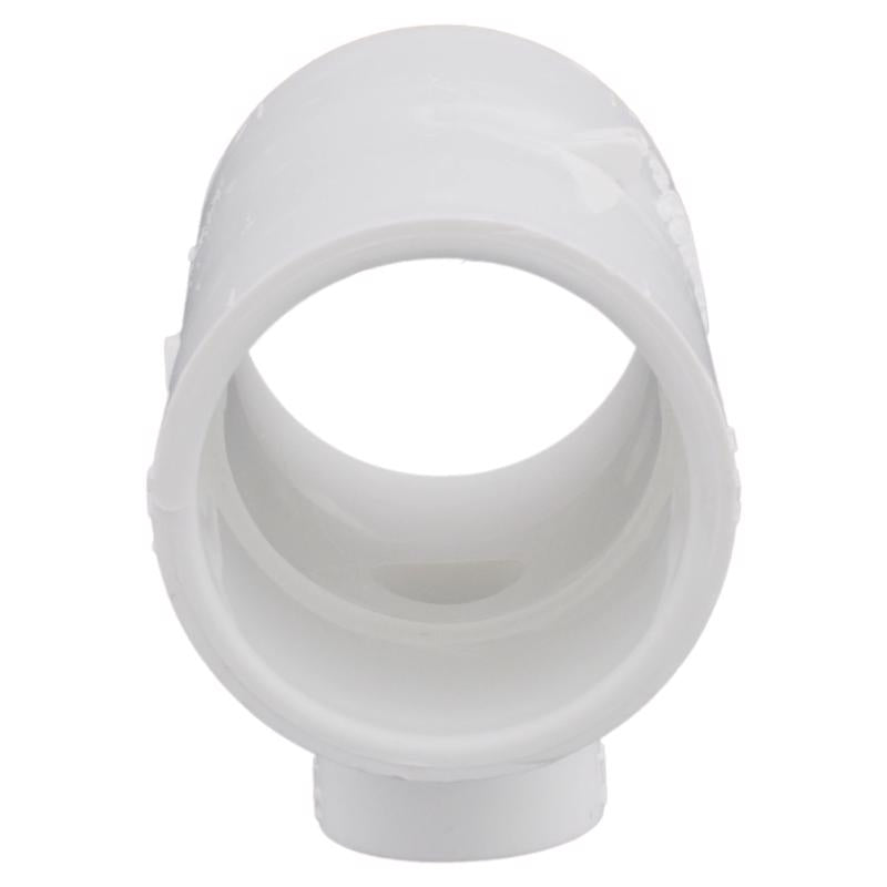 Charlotte Pipe Schedule 40 1-1/4 in. Slip X 1-1/4 in. D FPT PVC Reducing Tee