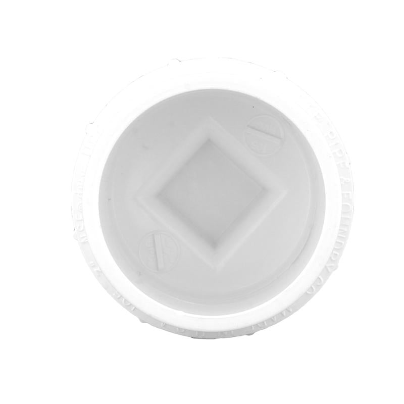 Charlotte Pipe Schedule 40 3 in. Spigot X 3 in. D FPT PVC Cleanout Adapter