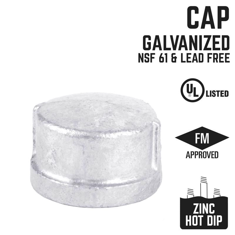 STZ Industries 2-1/2 in. FIP each Galvanized Malleable Iron Cap