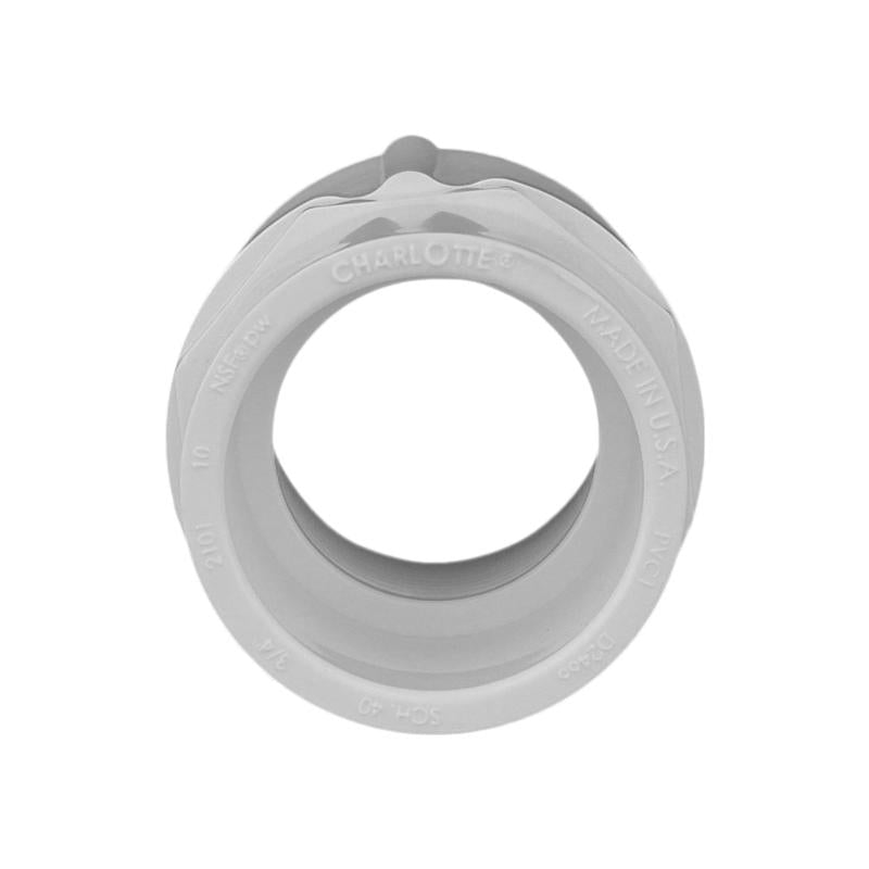 Charlotte Pipe Schedule 40 3/4 in. Slip X 3/4 in. D FPT PVC Pipe Adapter