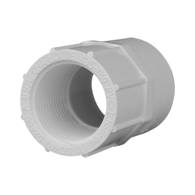 Charlotte Pipe Schedule 40 1 in. Slip X 1 in. D FPT PVC Pipe Adapter