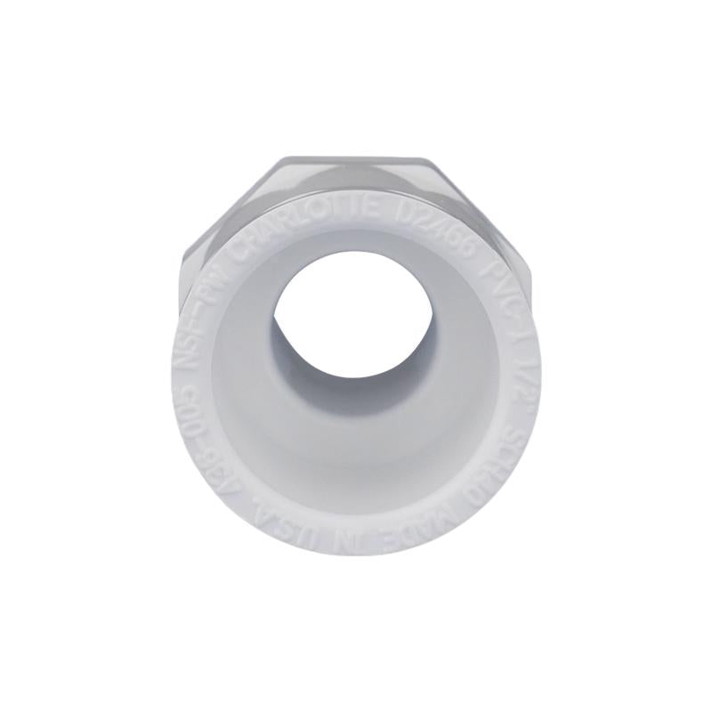 Charlotte Pipe Schedule 40 1/2 in. Slip X 1/2 in. D MPT PVC Pipe Adapter