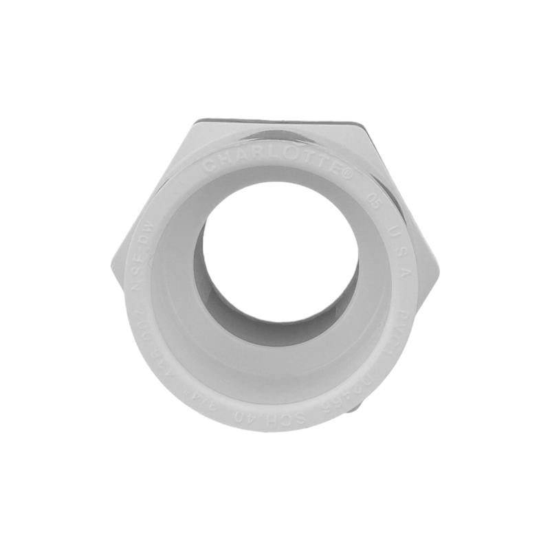 Charlotte Pipe Schedule 40 3/4 in. Slip X 3/4 in. D MPT PVC Pipe Adapter
