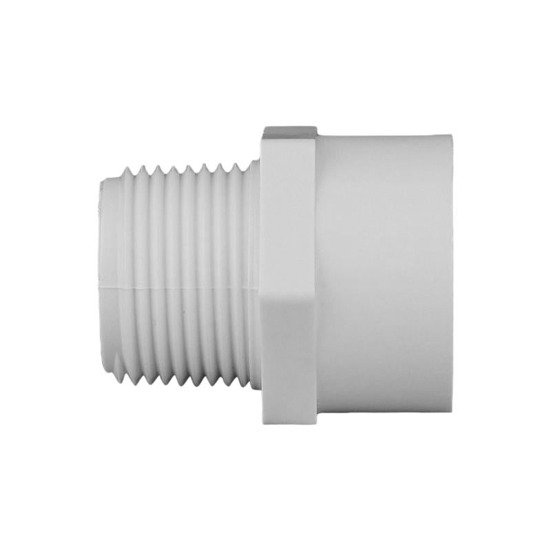 Charlotte Pipe Schedule 40 3/4 in. Slip X 3/4 in. D MPT PVC Pipe Adapter