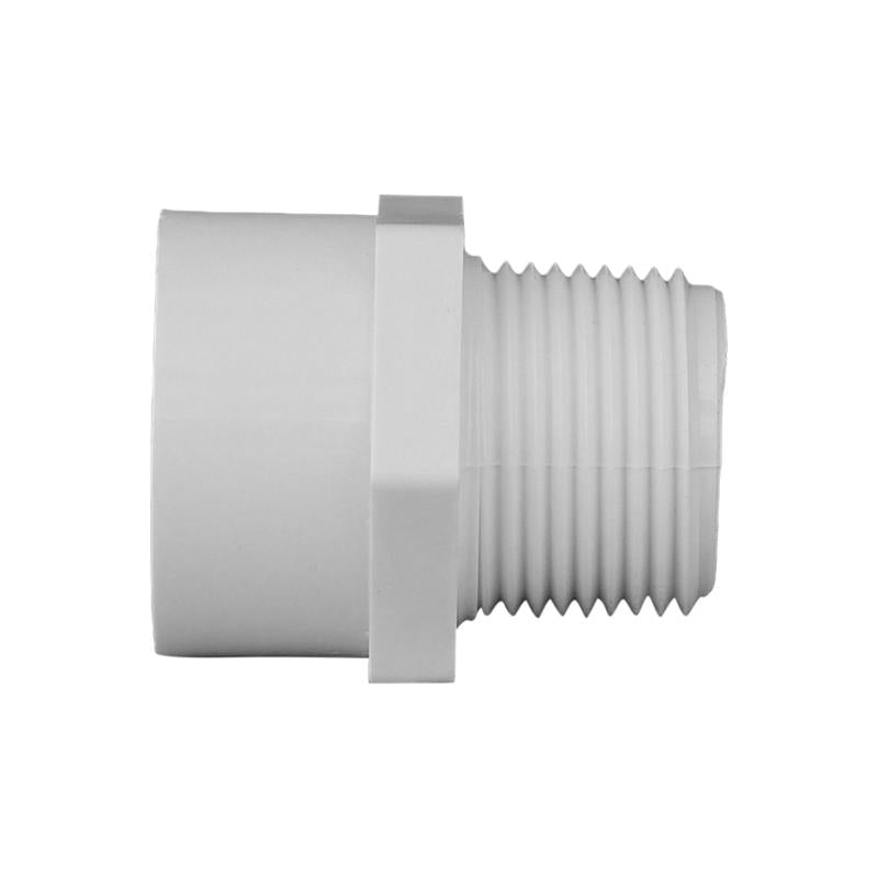 Charlotte Pipe Schedule 40 3/4 in. Slip X 3/4 in. D MPT PVC Pipe Adapter