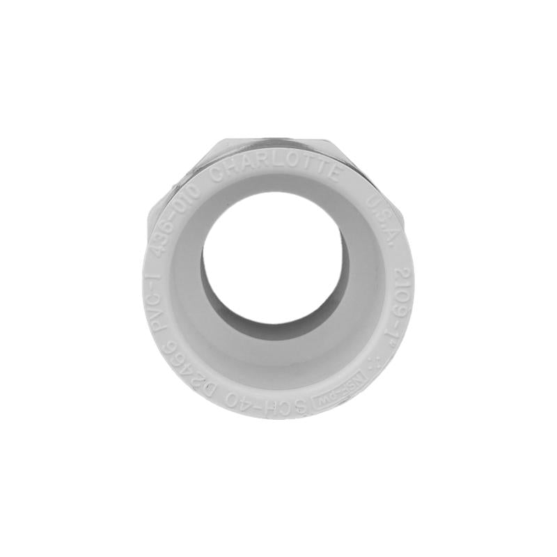 Charlotte Pipe Schedule 40 1 in. Slip X 1 in. D MPT PVC Pipe Adapter
