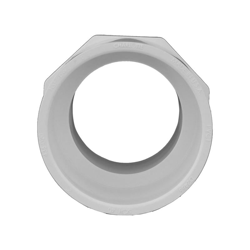 Charlotte Pipe Schedule 40 2 in. Slip X 2 in. D MPT PVC Pipe Adapter