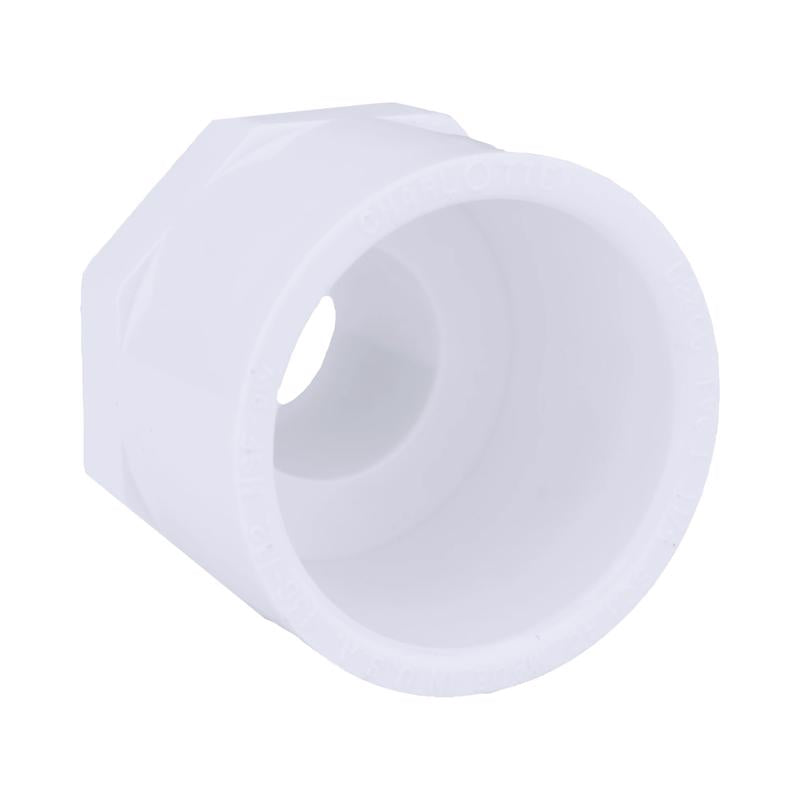 Charlotte Pipe 1 in. MPT X 1-1/4 in. D Slip PVC Adapter