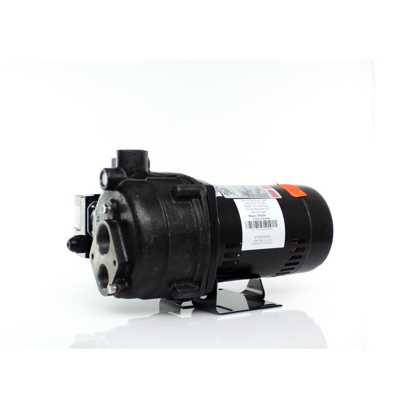 Wayne 1/2 HP 900 gph Cast Iron Convertible Jet Well Pump