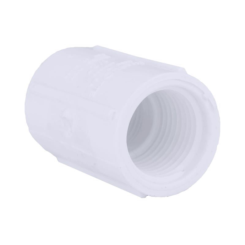 Charlotte Pipe Schedule 40 1/2 in. FPT X 1/2 in. D FPT PVC Coupling