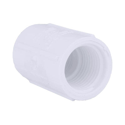Charlotte Pipe Schedule 40 1/2 in. FPT X 1/2 in. D FPT PVC Coupling