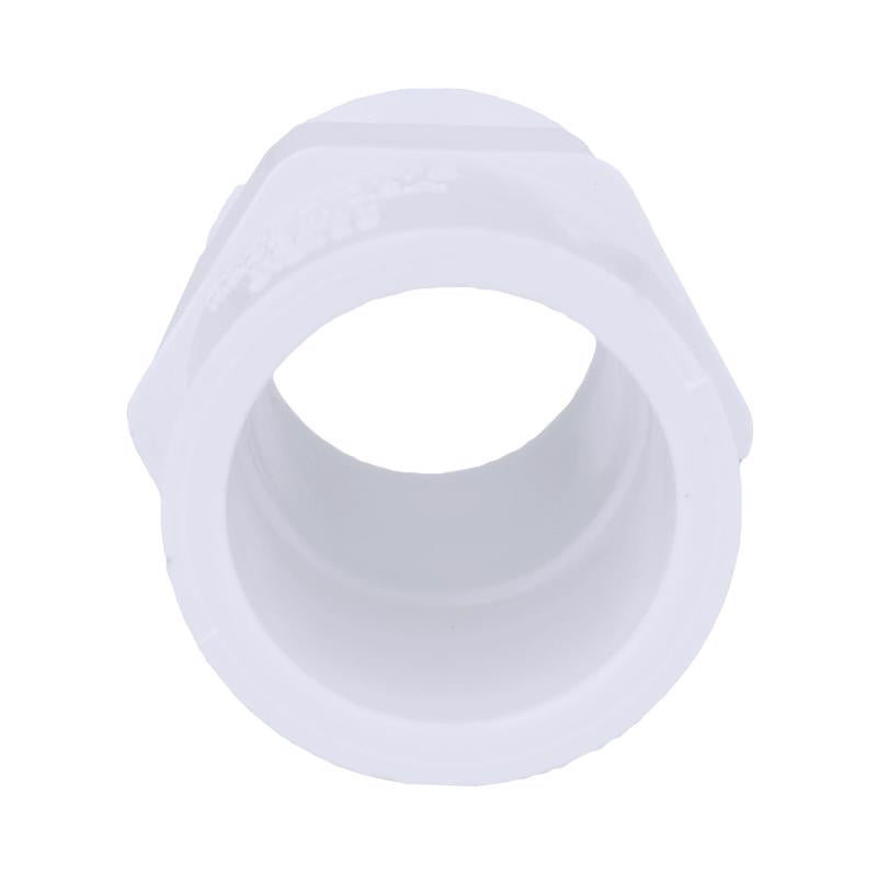 Charlotte Pipe Schedule 40 3/4 in. MPT X 1/2 in. D Slip PVC Pipe Adapter
