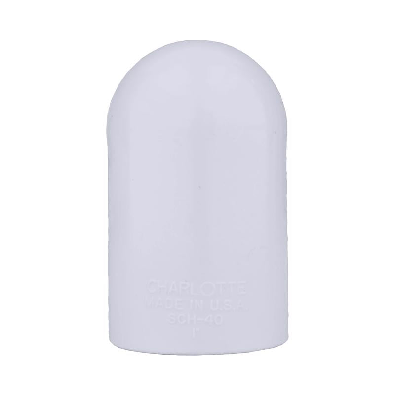Charlotte Pipe Schedule 40 1 in. Slip X 1 in. D FPT PVC 90 Degree Elbow